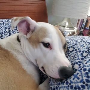 Meet your Posher, Elbert